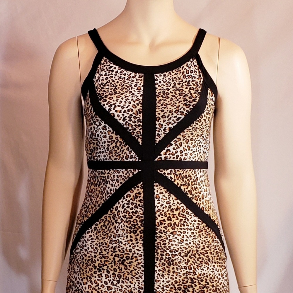 Leopard Print Sleeveless Maxi Dress